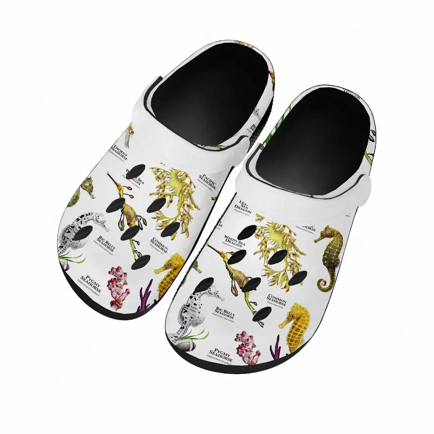 Seahorse Sandals Women Teenage - đánh giá và giá Men Shoes High