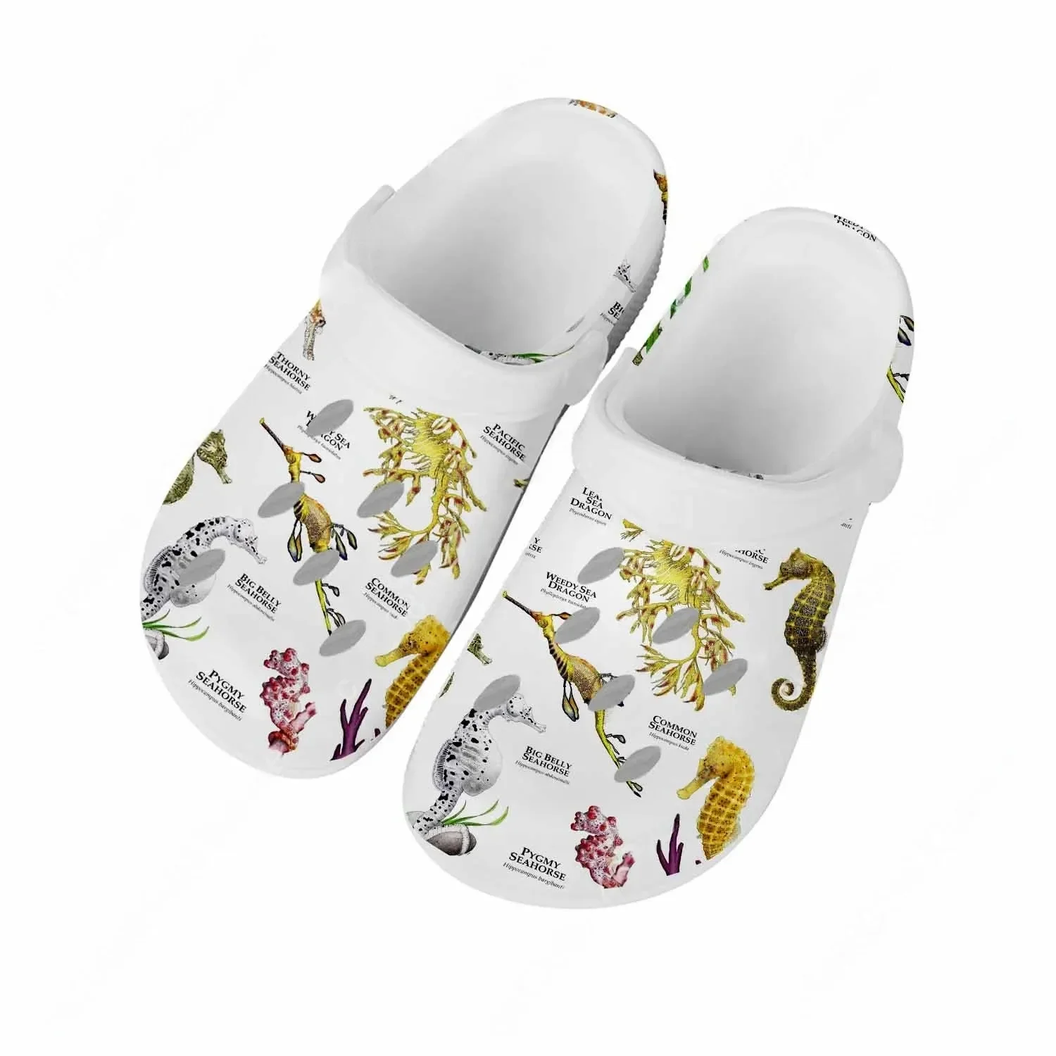 Seahorse Sandals Men Women Tee - đánh giá và giá Men Shoes High